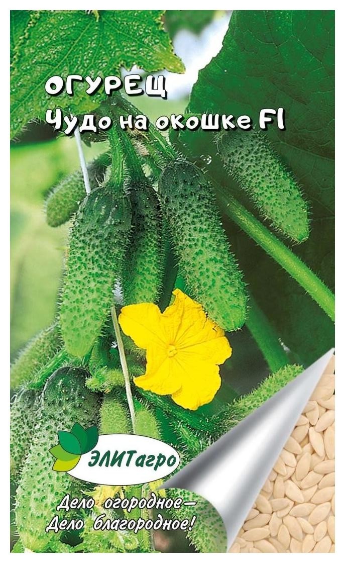 Семена. огурец 