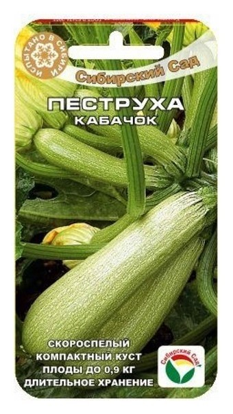 

Кабачок "Пеструха" (5 штук), Зеленый