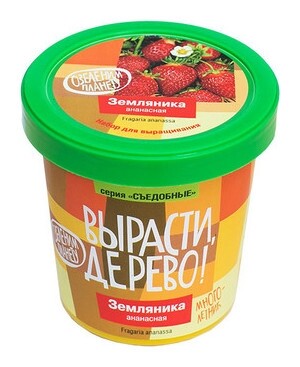 Набор для выращивания "Вырасти, дерево! земляника ананасная" Вырасти дерево!