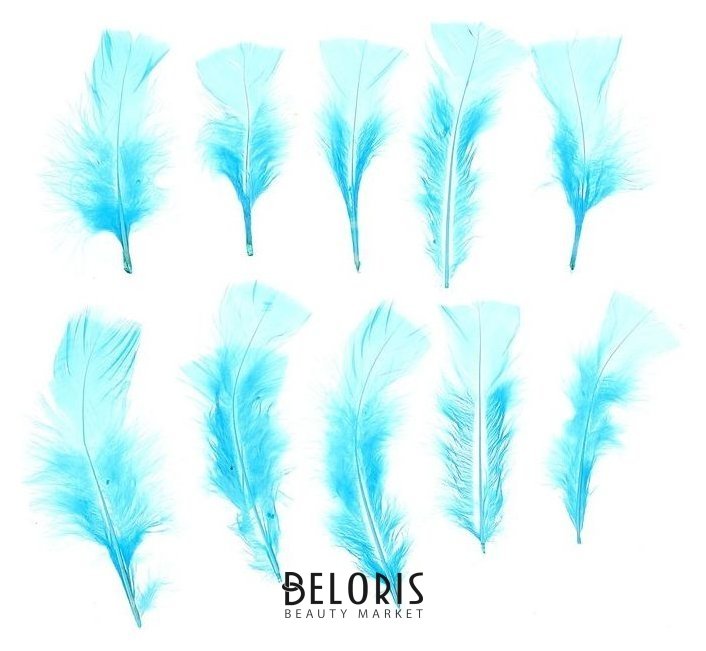 Набор перьев для декора 10 шт., размер 1 шт: 10 × 4 см, цвет голубой NNB