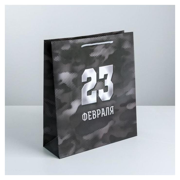 

Пакет ламинированный вертикальный «Спецподарок», M 26 × 30 × 9 см, Серый