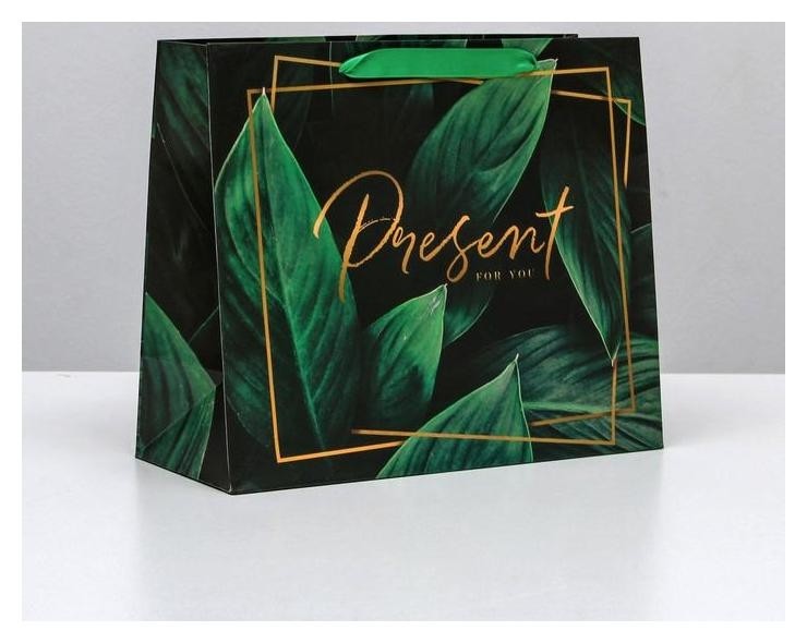 

Пакет ламинированный горизонтальный Present For You, ML 27 × 23 × 11,5 см, Зелёный