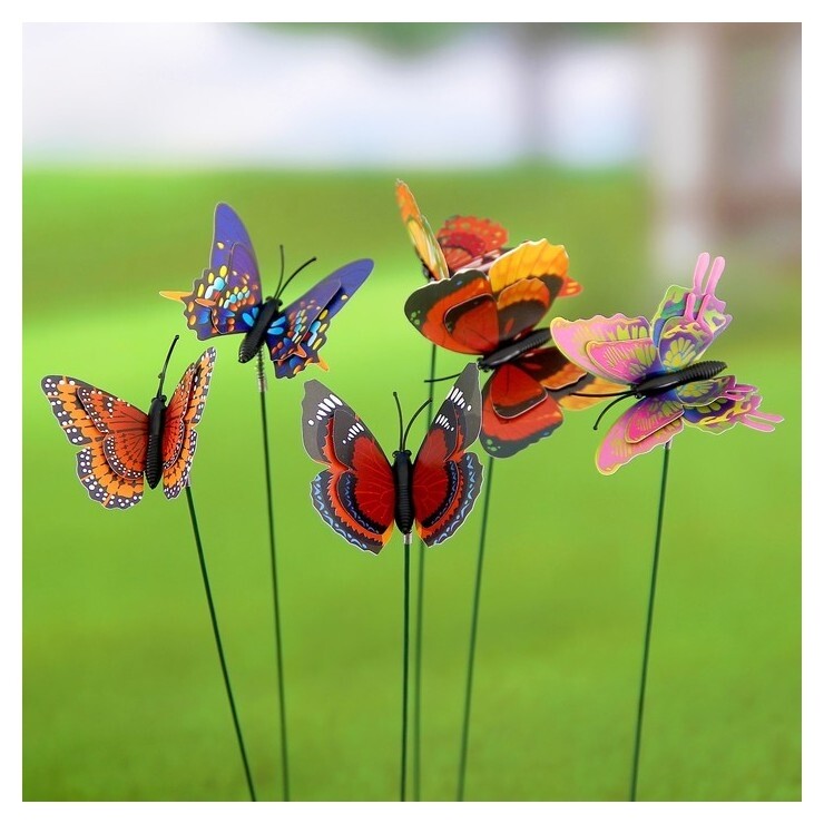 Набор декоративного штекера 6 шт. "Бабочка дельфиус"  