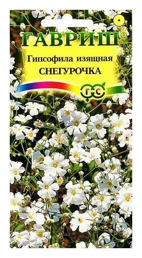 

Семена. гипсофила изящная "Снегурочка" (Вес: 0,3 г)