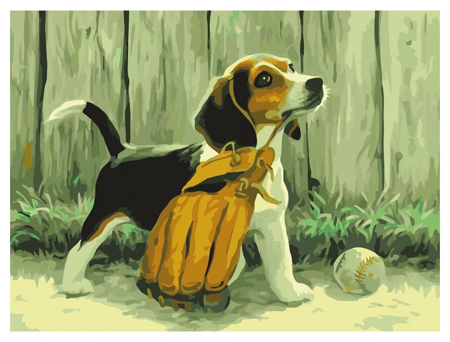 Картина по номерам "Щенок бигля", на подрамнике, 40х50 см  Остров сокровищ