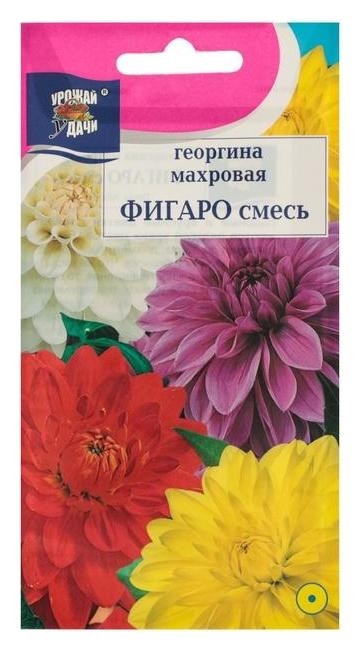 

Семена цветов Цв георгина смесь "Фигаро",0,2 гр, Микс
