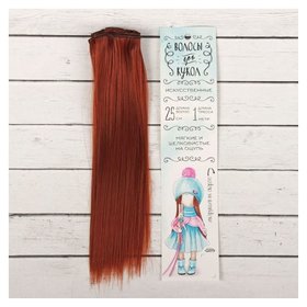 Волосы - тресс для кукол «Прямые» длина волос: 25 см, ширина: 100 см, цвет № 350 Школа талантов