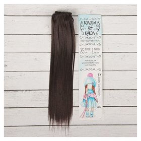 Волосы - тресс для кукол «Прямые» длина волос: 25 см, ширина: 100 см, цвет № 2 Школа талантов