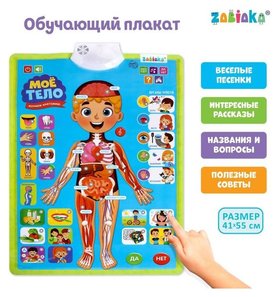 Обучающий плакат «Изучаем анатомию: Моё тело» Zabiaka