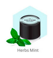 Мята  Village 11 Factory