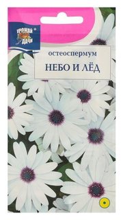 Семена цветов Цв остеоспермум "Небо и лёд". 0,1 г. Урожай уДачи