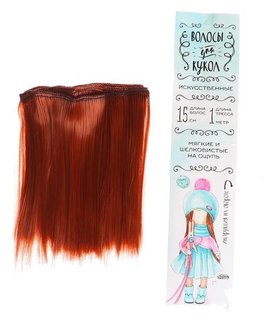 Волосы - тресс для кукол «Прямые» длина волос: 15 см, ширина:100 см, цвет № 13 Школа талантов
