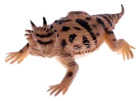 Фигурка животного «Рептилия» Зоомир