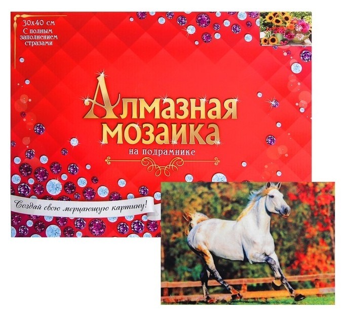 

Алмазная мозаика с полным заполнением, 30 × 40 см «Скачущая лошадь»