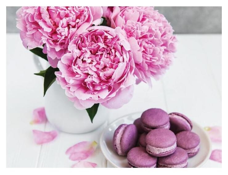 Алмазная вышивка на раме 30x40 с частичным заполнением «Макаруны и цветы»  Школа талантов