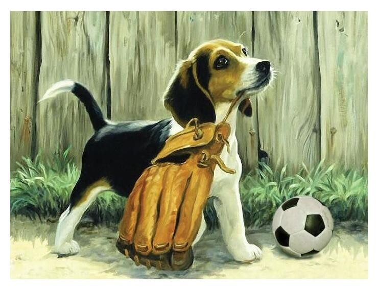 Алмазная вышивка на раме 30x40 с частичным заполнением «Пёс с мячом»  Школа талантов