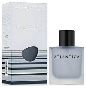 Парфюмерная вода Silver Moon Dilis Parfum