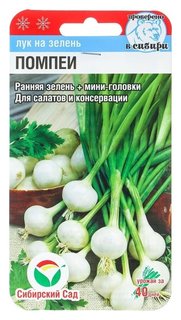 Семена Лук на зелень "Помпеи", 0,5 г Сибирский сад