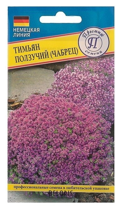 Семена тимьян ползучий рс-1, 0,05 г Престиж