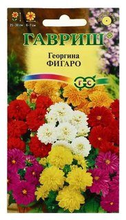 Семена цветов георгина "Фигаро", 0,3 г Гавриш