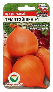 Семена Лук "Темптэйшен" F1 100шт Сибирский сад