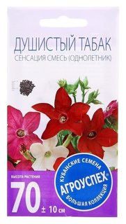 Семена цветов душистый табак сенсация смесь, О, 0,1 г Агроуспех