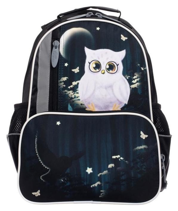 

Рюкзак школьный, Calligrata, 37 х 26 х 13 см, эргономичная спинка, «Совушка», Чёрный