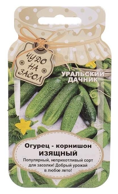 Семена огурец "Изящный", серия банка, 10 шт  Уральский дачник