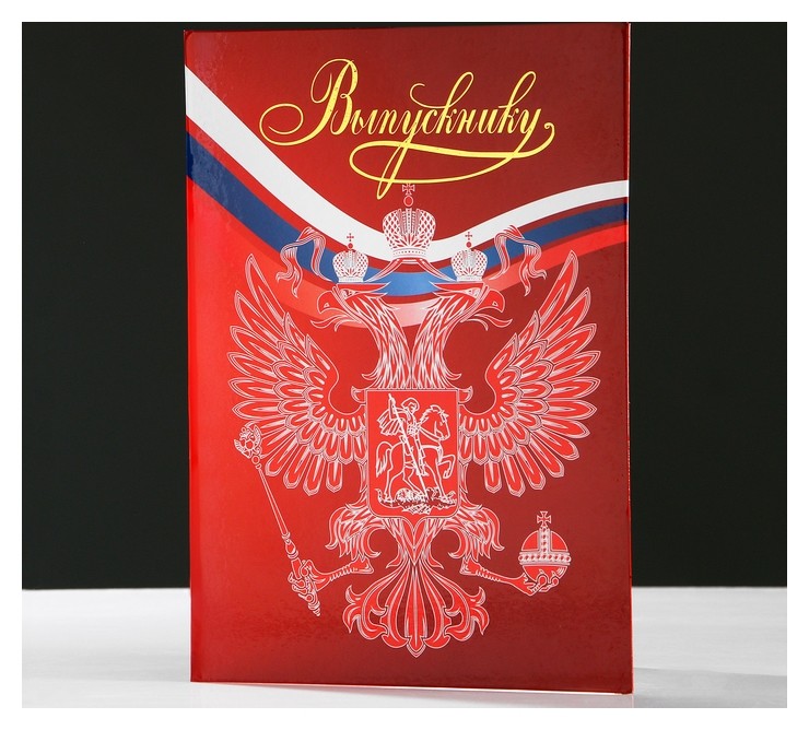 

Папка адресная "Выпускнику" тиснение, А4