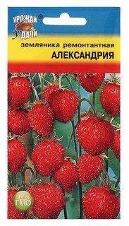 Семена земляника "Александрия" рем.,0,04 гр Урожай уДачи