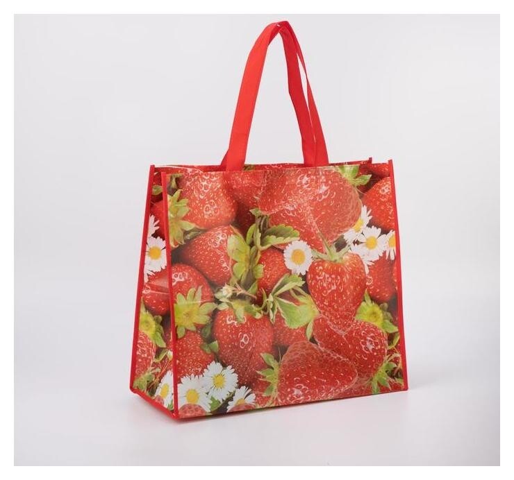 Сумка хозяйственная, отдел без молнии, цвет красный  