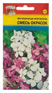 Семена цветов Цв вечерница (Ночная фиалка) матроны смесь,0,3 гр Урожай уДачи