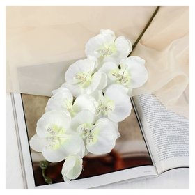 Цветы искусственные "Орхидея молди" 9*66 см, белая 