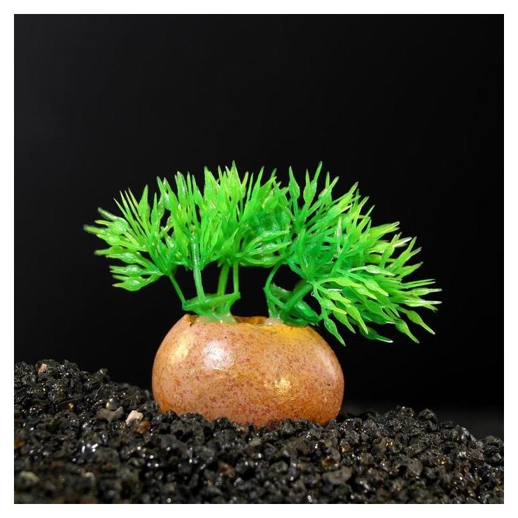 Растение искусственное аквариумное на камне, 5 X 4 X 7 см