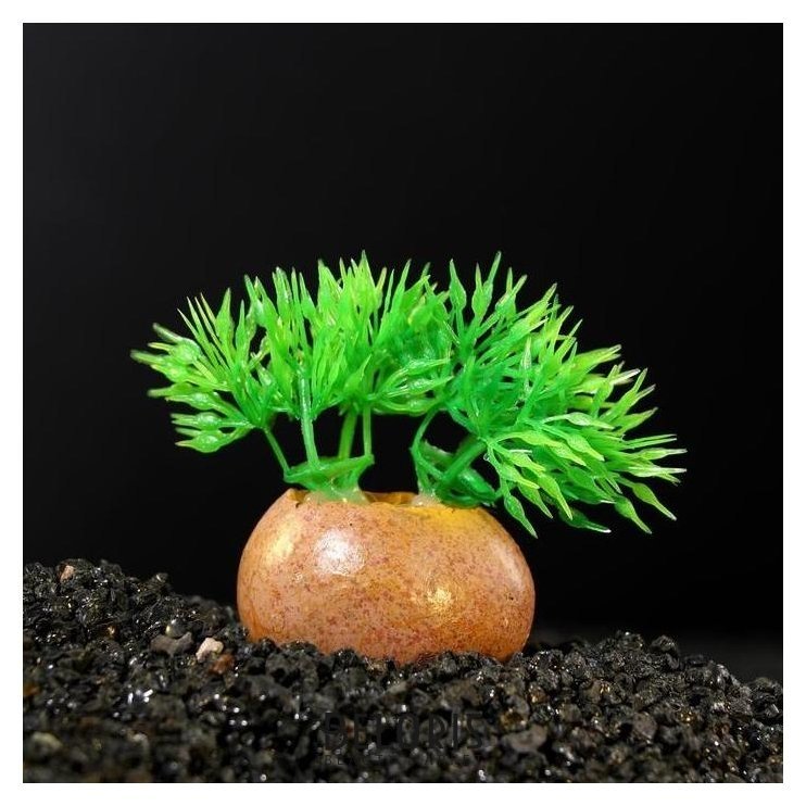 Растение искусственное аквариумное на камне, 5 X 4 X 7 см КНР