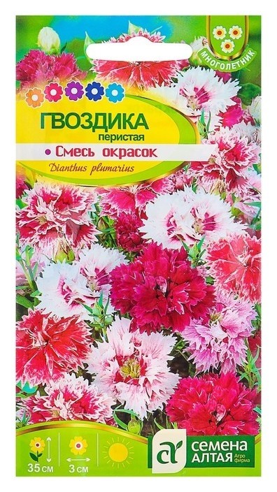 

Семена цветов гвоздика перистая смесь окрасок, Мн, цп, 0,1 г