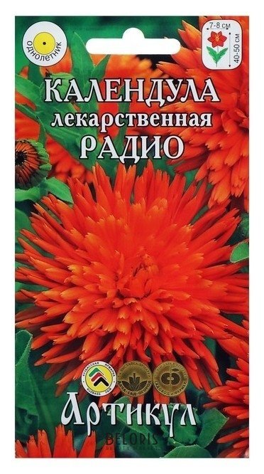 Семена цветов календула «Радио», О, 0,3 г. Артикул