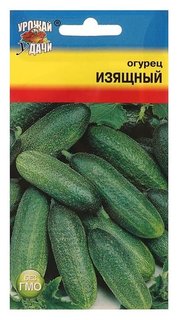 Семена огурец "Изящный",0,5 гр Урожай уДачи