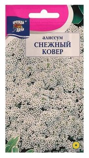 Семена цветов Цв алиссум "Снежный ковер",0,1 гр Урожай уДачи