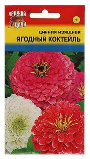 Семена цветов Цв цинния смесь ягодный коктейль изящн.,0,1 гр Урожай уДачи