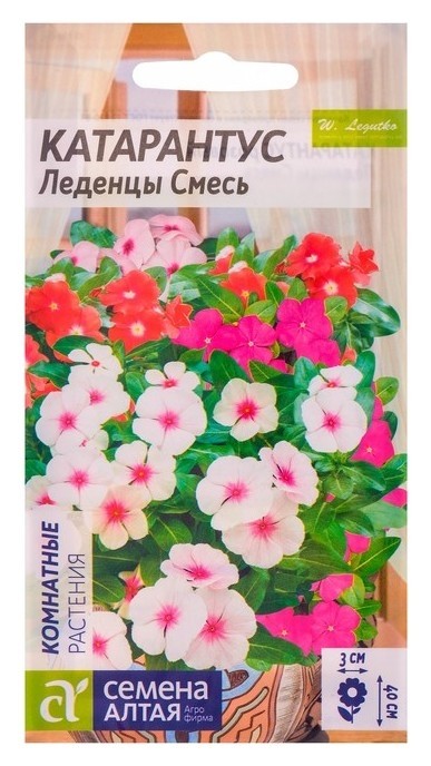

Семена комнатных цветов катарантус "Леденцы", Мн, цп, 0,05 г
