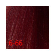 Тон 6-66  Orofluido