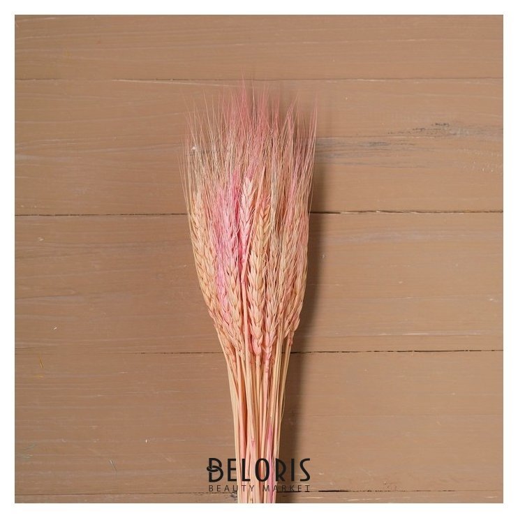 Сухой колос пшеницы, набор 50 шт., цвет розовый NNB