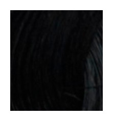 Тон 2-10 Иссиня-черный  Revlon