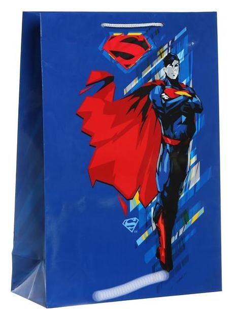 

Пакет подарочный Superman-3, большой, 250х350х100 мм