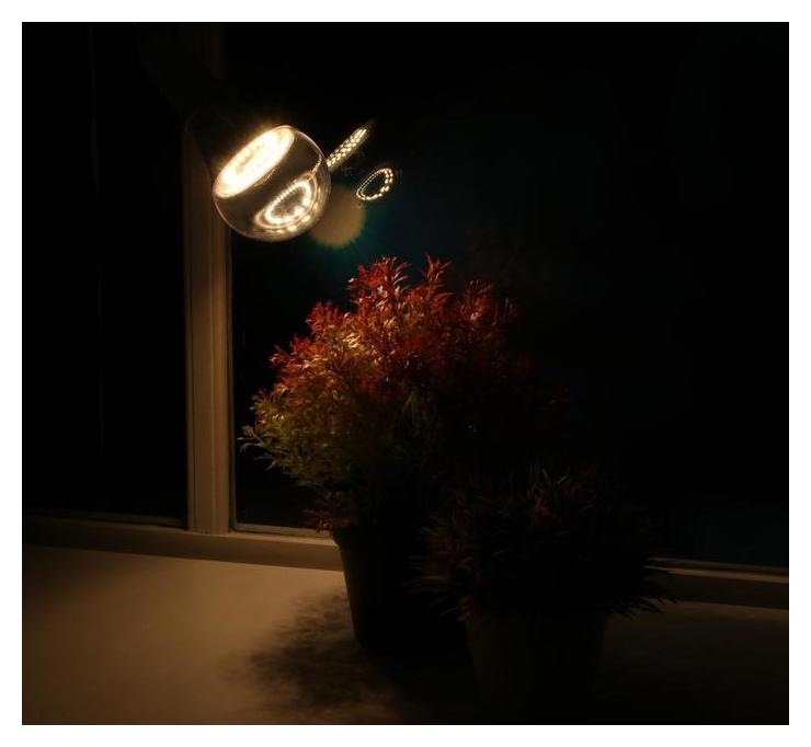 Светодиодная лампа для растений ( фитолампа дневного света ) Luazon 12 Вт, E27, 220в