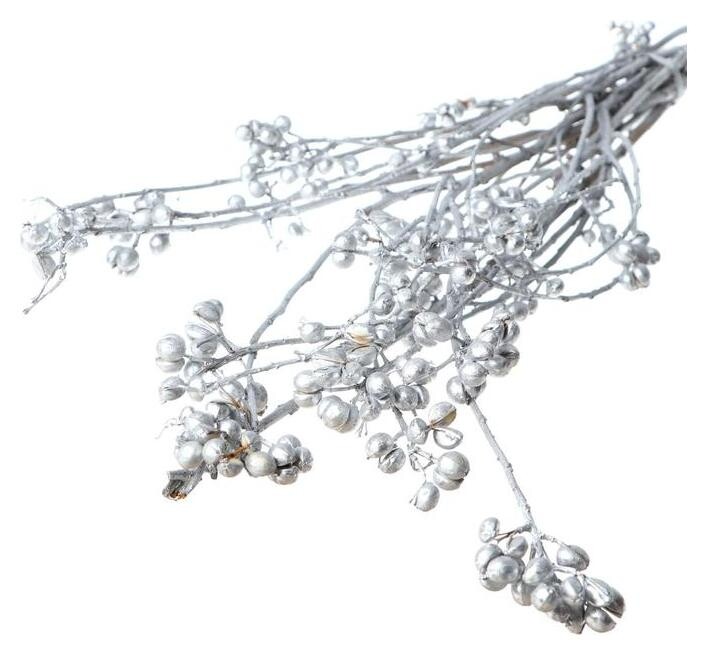 Сухоцвет «Гинкго» набор 6 шт, цвет серебро  