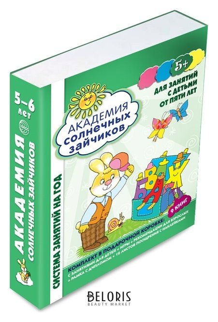 Академия солнечных зайчиков 5-6 лет В коробке Система развития ребенка Издательство сфера