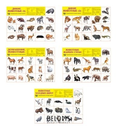 Комплект демонстрационных плакатов А2 животный мир: 5 плакатов А2, 80 картинок животных Издательство сфера