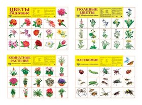 Комплект демонстрационных плакатов А2 Мир цветов и насекомых : 4 плаката 2, 80 картинок Издательство Сфера